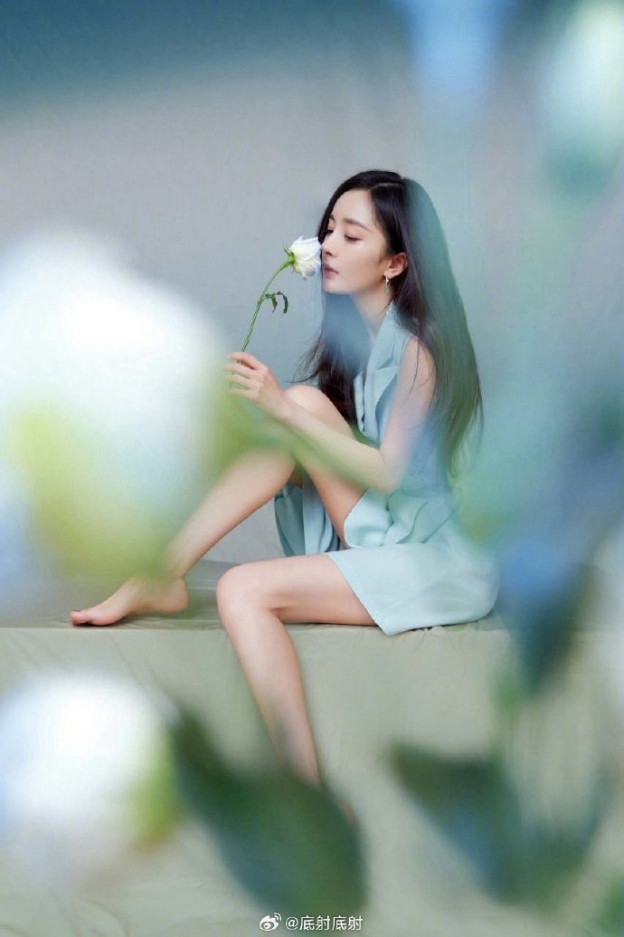 小森林 冬春篇
