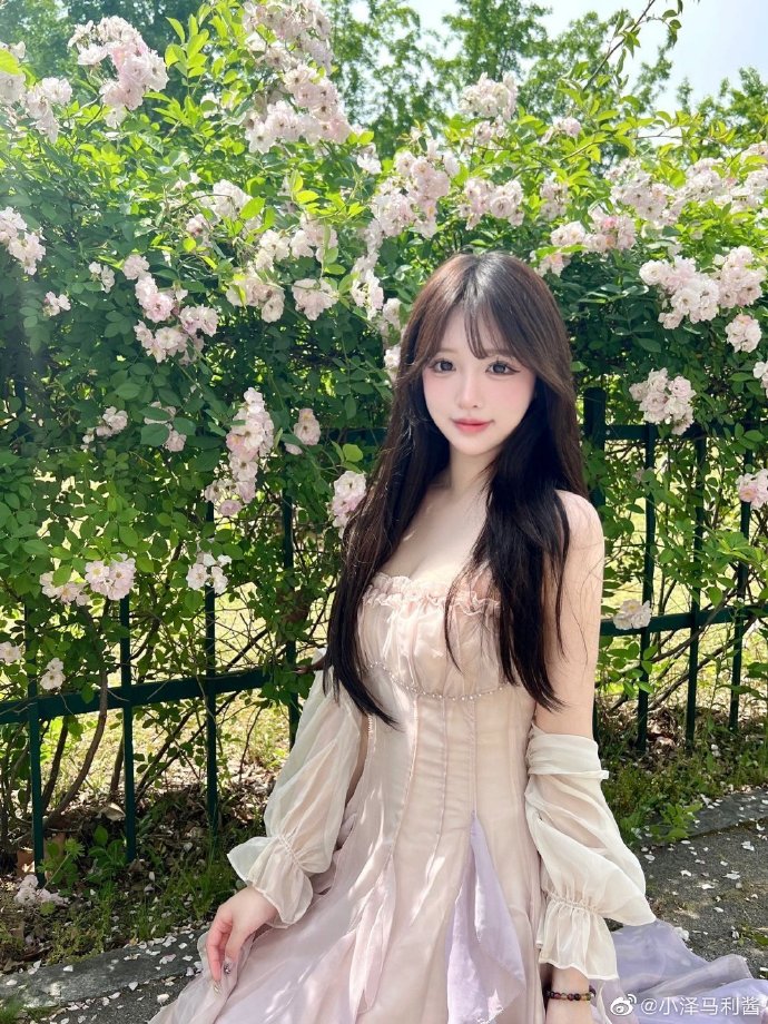 孤独的美食家